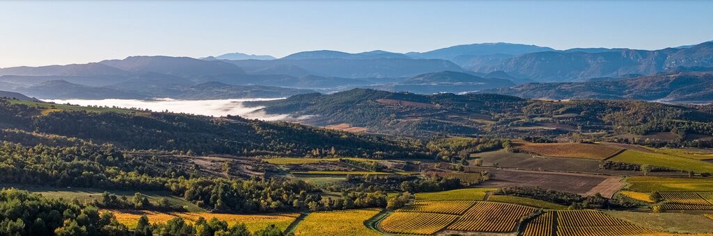 terroir limoux delmas